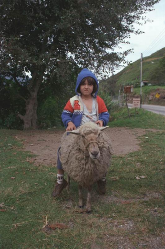 L'enfant et le mouton (Les Andes)