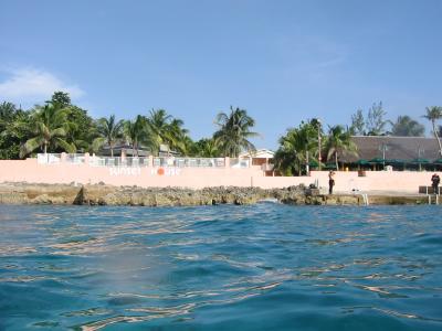 The beach dive at the Sunset House - include wreck, Mermaid, and 8000ft wall.