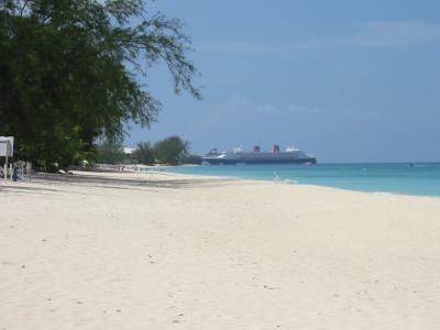 Paradise slightly ruined by the image of a huge cruise ship down the beach.