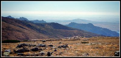 Picos