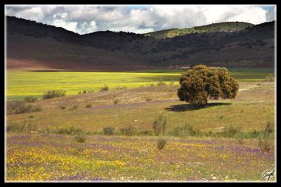 Extremadura (Espaa)