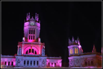 DSC_9167.jpg