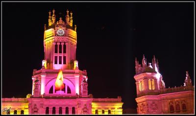 DSC_9169.jpg