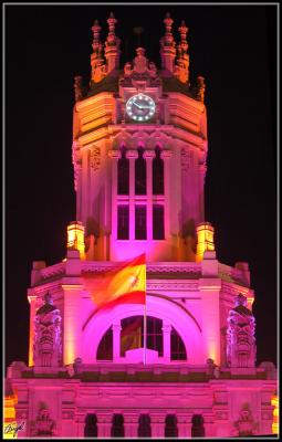 DSC_9174.jpg