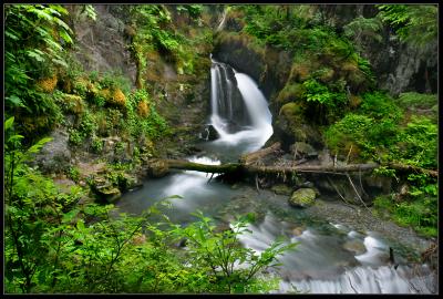 Virgin Creek Falls