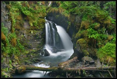Virgin Creek Falls3
