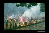 firedragon-a.jpg