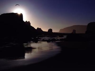 Coast of Oregon