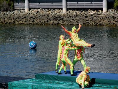 u32/anayv/medium/31505870.eSCatchMeSeaworldFZ10.jpg
