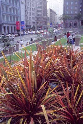 Downtown (Union Square)