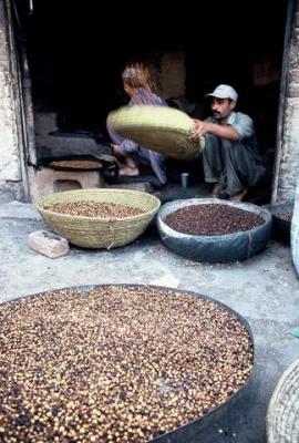Cleaning the seeds, Peshawar