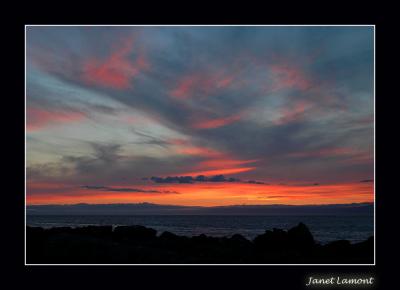 u32/aquaholic2/medium/31401074.DSC_0057E.jpg