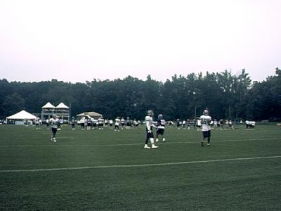 Bills Training Camp