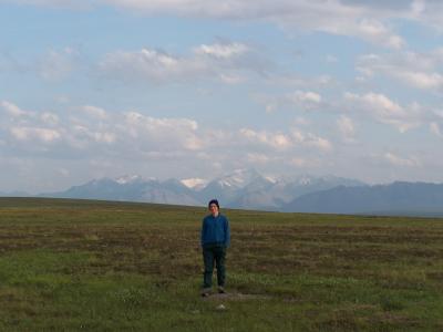 on the tundra north of the brooks range