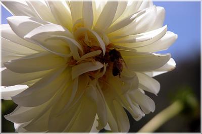 DSCN8901.jpg