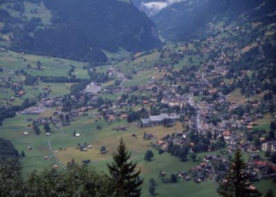 Grindelwald from Pfinstegg
