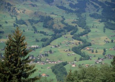 Grindelwald from Pfinstegg