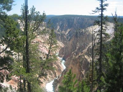 The canyon is roughly 20 miles long, measured from the Upper Falls to the Tower Fall area.