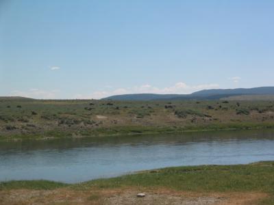 Our next destination is Fishing Bridge about 26 miles south, and along the roadside we see a buffalo herd.
