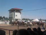 And then we watch the Rodeo - yeeHa !