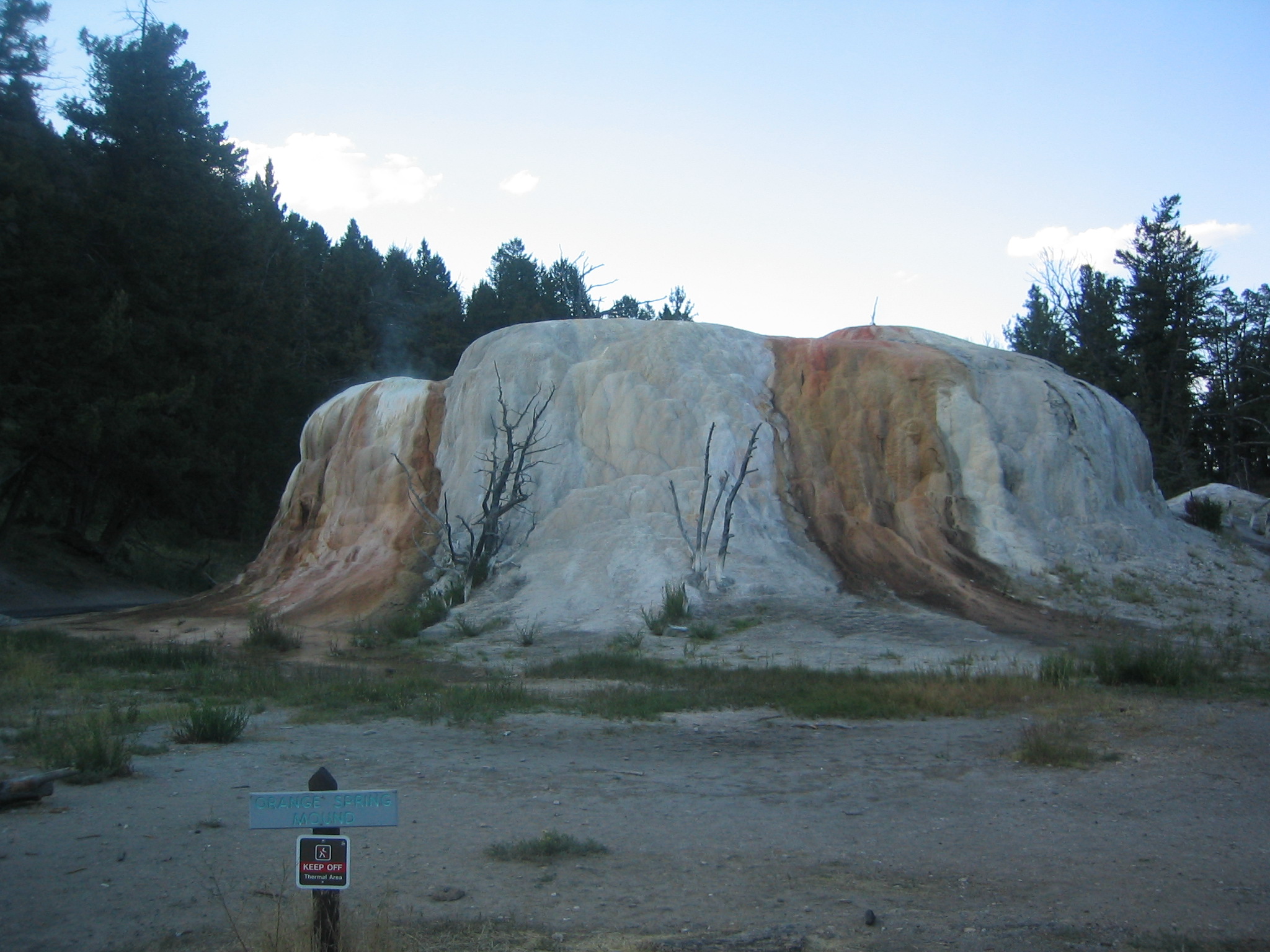 Bacteria and algae create the color on Orange Spring Mound. Its shape is from very slow water flow and mineral deposition.