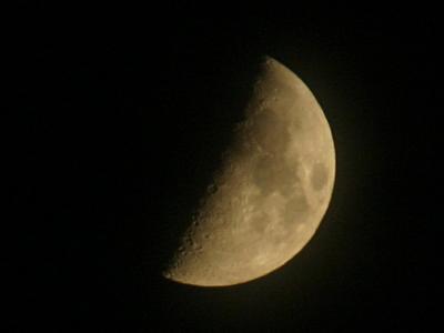 moonshot.jpg