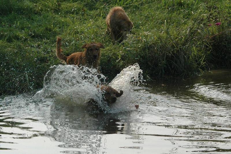 Play Day 063.jpg