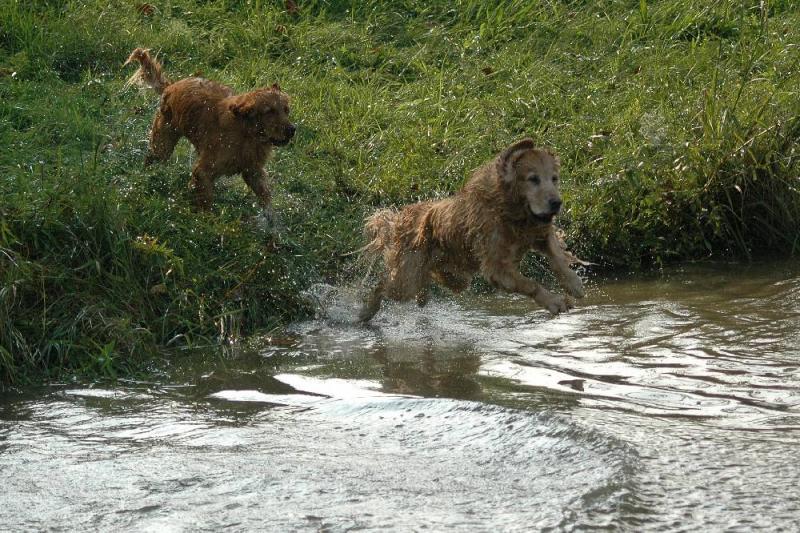 Play Day 076.jpg