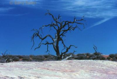 canyonlands21.jpg