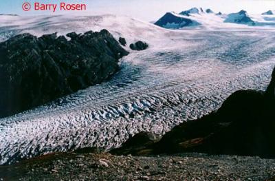 Another view of Exit Glacier