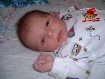 4 week old max in crib.jpg