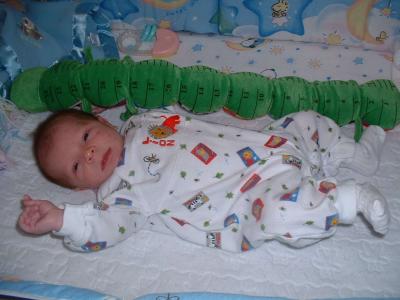 4 weeks old 23 inches long.jpg