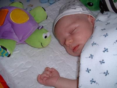 sleeping Max June 10th.jpg