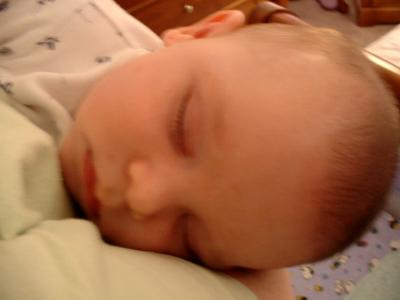 Aug7_sleeping_max.jpg