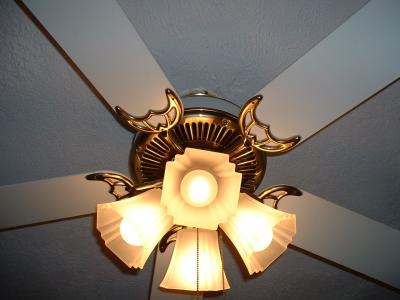 ceiling_fan_lights2.jpg