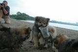 July19f_04_002.JPG
