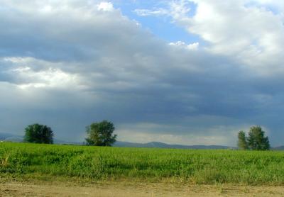 Stormy Sky on Alfalfa Field at Dyer