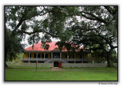 Laura Plantation Another View