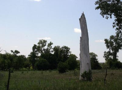 4698.jpg