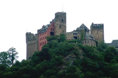 u32/bmcmorrow/medium/31384473.rhein244.jpg