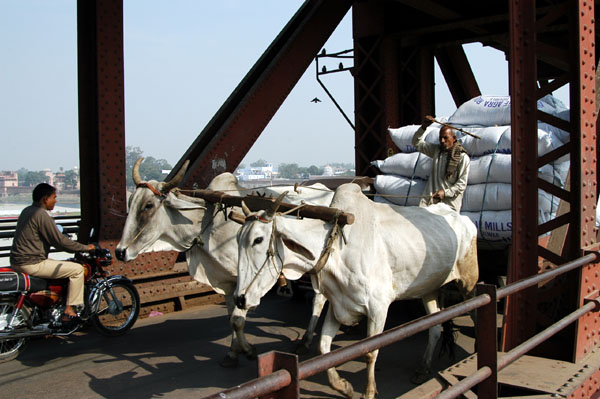 Ox wagon on the Yamuna River bridge