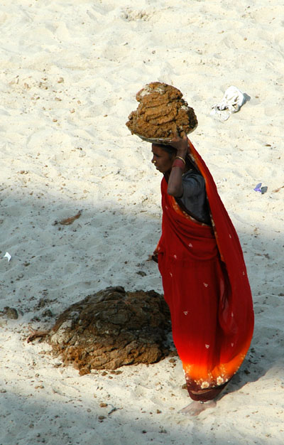 Woman collecting buffalo dung along the river