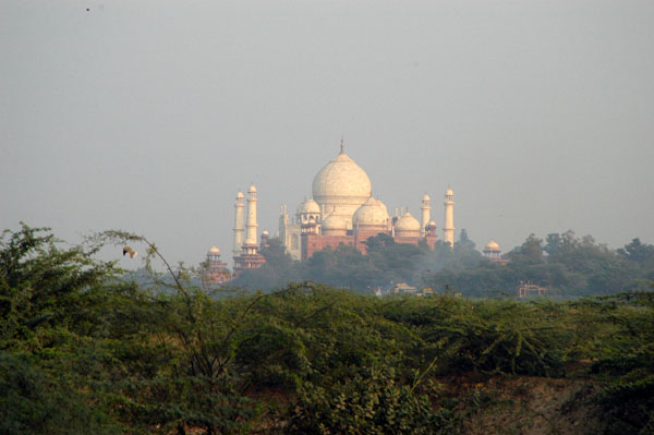 The Taj from a point along the river near Agra Fort