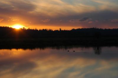 Reflections