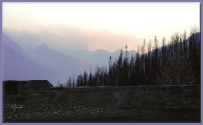 Sun Sets on Burn Out Area