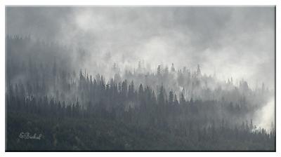 u32/britestar/medium/21236569.WestAfternoonRobertFire.jpg