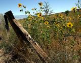 Lubkin Creek Road