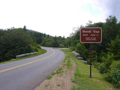 Beech Gap, SR 215
MP 423.4 N, 5340'