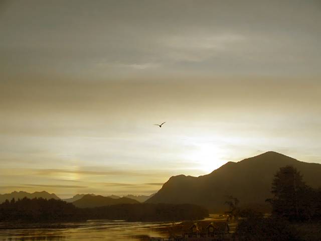 Golden Flight