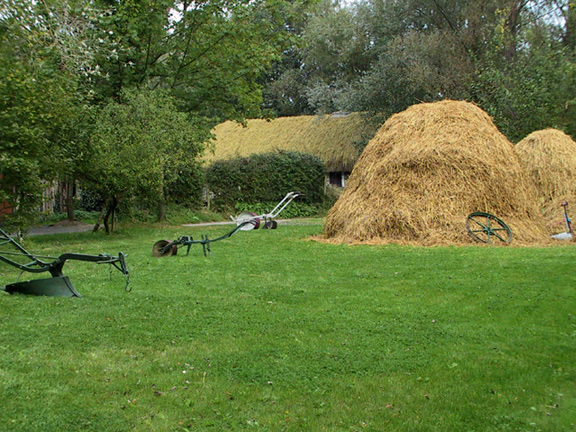 Hayfield in Bunratty, Ireland